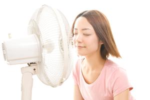 工事現場での安全管理と効率化を実現するデジタルサイネージの活用法ガイド